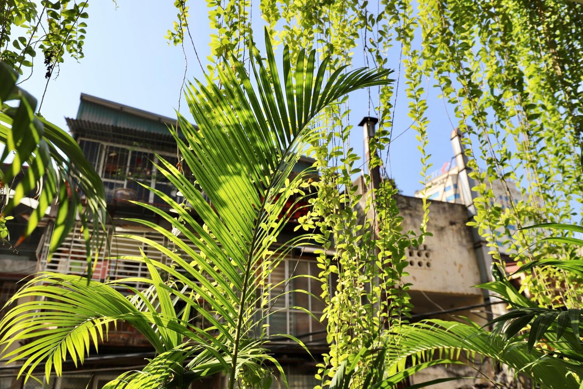 The Garden House Apartment Hà Nội Ngoại thất bức ảnh