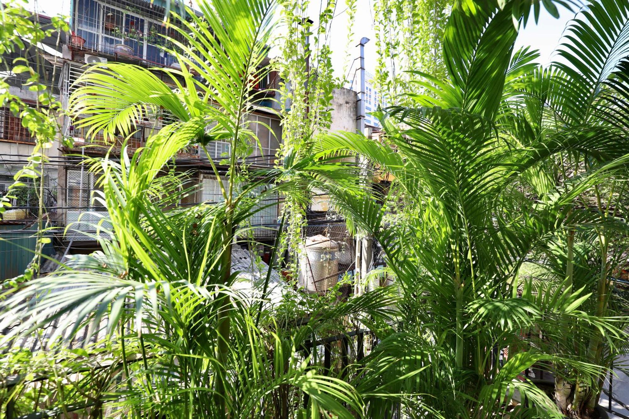 The Garden House Apartment Hà Nội Ngoại thất bức ảnh